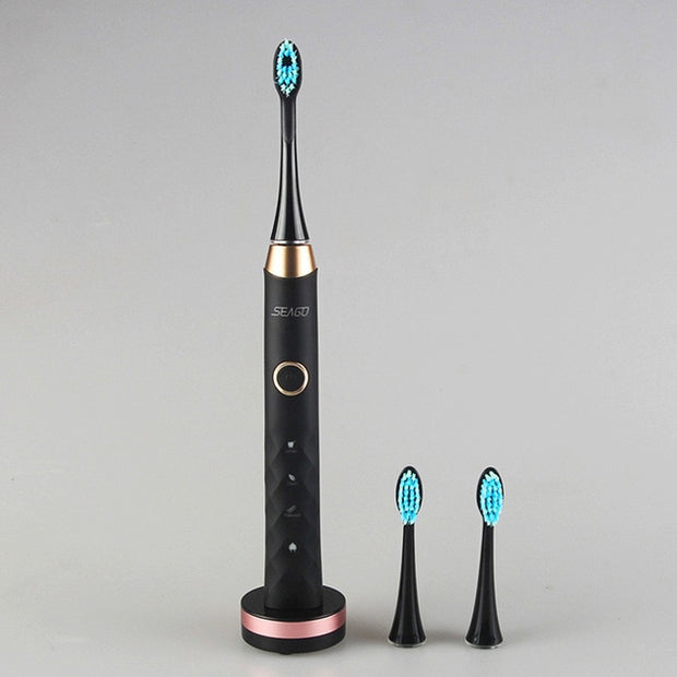 Sonic Electric Toothbrush